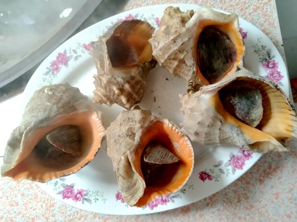 ���ɍu�O�Ҙ�