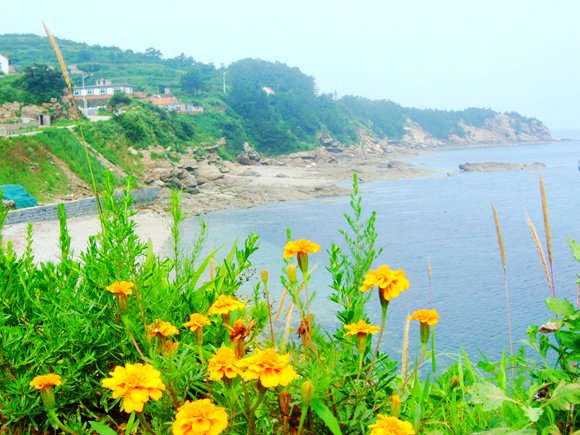 ��Ӎu�O�Ҙ�