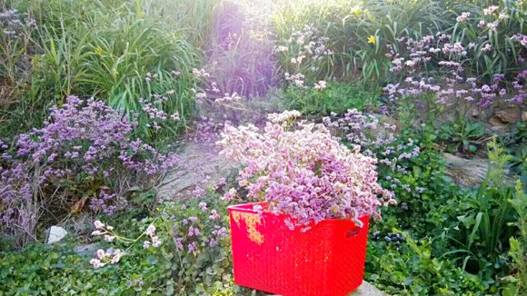 ��Ӎu�O�Ҙ�