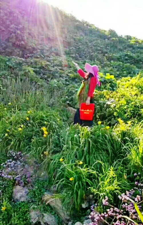 ��Ӎu�O�Ҙ�