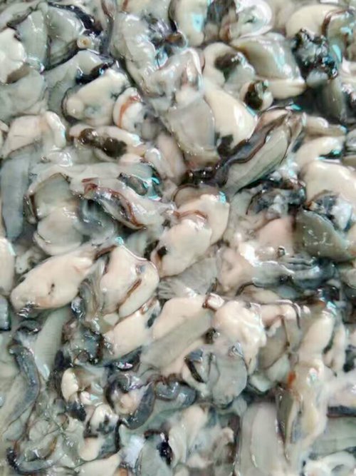 ��ў�u�f��СԺ