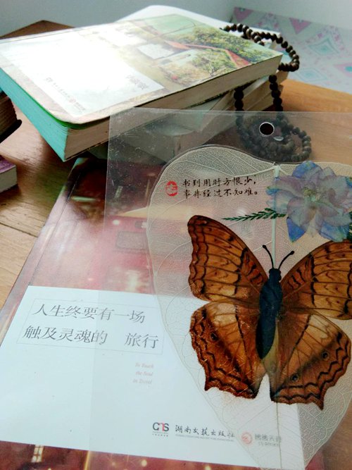 ��Ӎu�O�Ҙ�