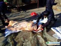  ʯ�Ǎu����֮���������r�Қ��i�� 