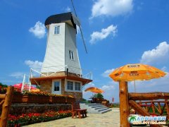 �����е��`�ӡ������B���ƻ�ϫ޹