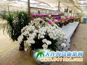 ���B�����^����