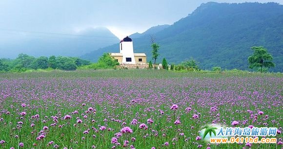 ���B��ʯ������