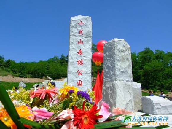 ��(y��ng)�ֵ�С��ɽɭ�ֹ��@