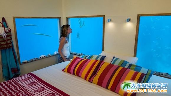 �����ȼٴ�