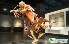 ���B��ʯ������Ʒ�|(zh��)�c��������w�(y��n)������