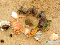 ���ɍuȤ�D:���C���,Ⱥз���(zh��n)