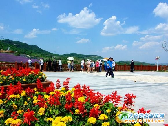 ���B޹�²��f�@