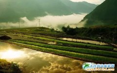 ���������{������̵�·�̡������칫·