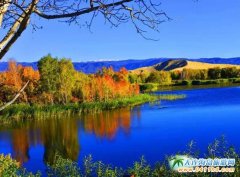 9���½����ι��ԣ��½����{˹�o�ޱ����L��