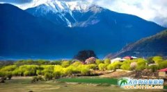 9��������֥���Σ���ʰߔ̵��ͮ���D