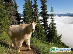 �����״��ĵ���Ͳ�����ţ���FӰ��