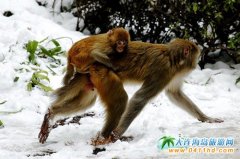 ����Դ���Ϫ�Ⱦ��^��ȺҰ���J������ˣ