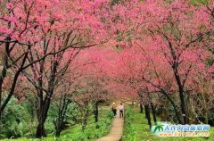 �_���p�ѹ��ԣ��_���ѻ�ʲô�r���_���_������Щ�ط��ѻ��ã�