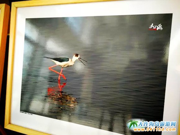 �L���h����