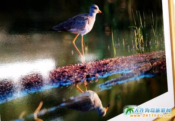 �L���h����