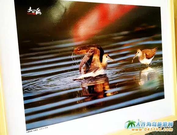 �����B(t��i)�L�����zӰչ