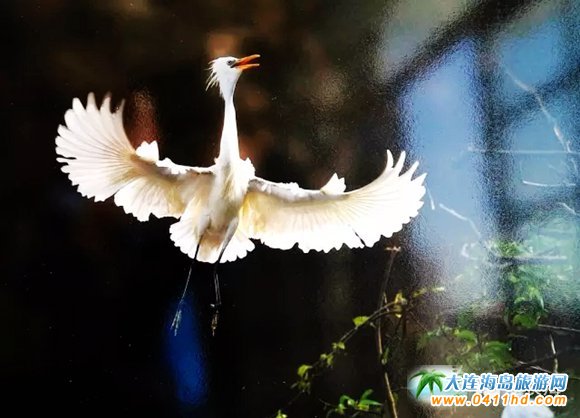 �����B(t��i)�L�����zӰչ