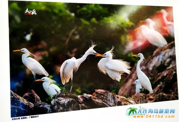 �����B(t��i)�L�����zӰչ