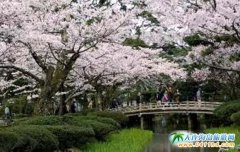 �ձ��������@֮һ�������@��