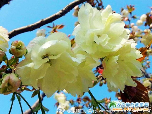 ��혙ѻ���