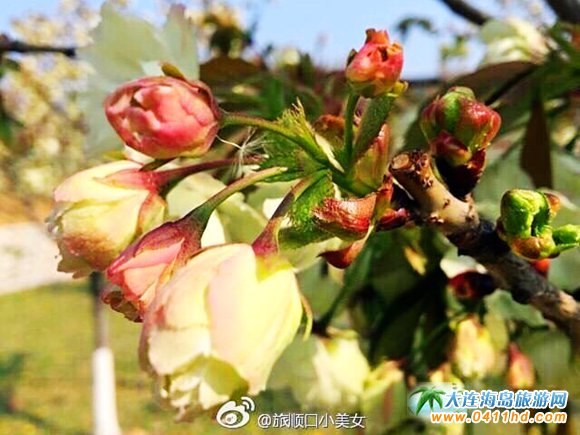 ��혙ѻ���