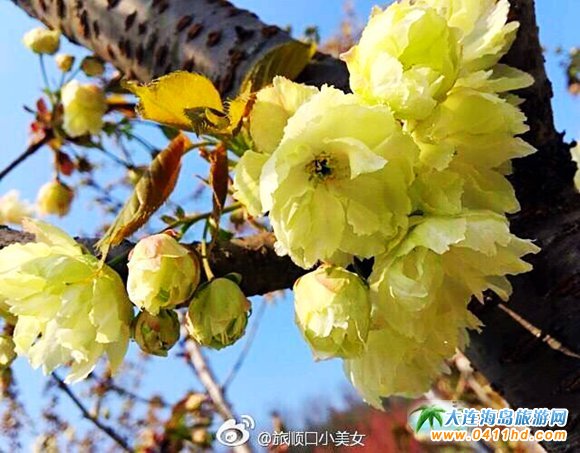 ��혙ѻ���