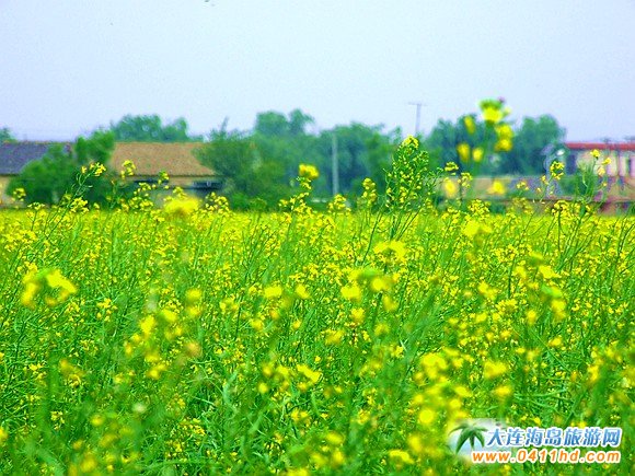 2016���B�Ͳ˻���