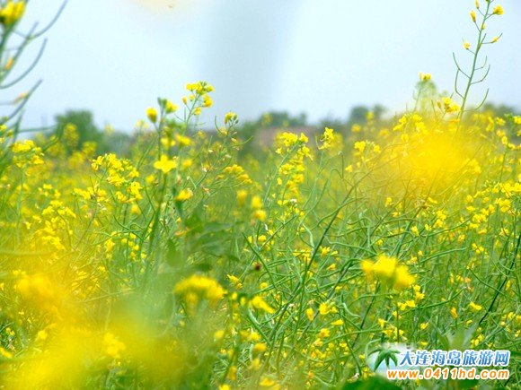 2016���B�Ͳ˻���