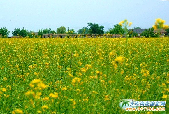 2016���B�Ͳ˻���