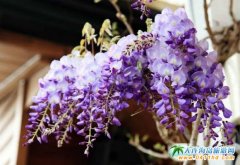 ���ڲ����� ��ɫ�����Ī�(d��)���Σ������^�����e(cu��)�^!