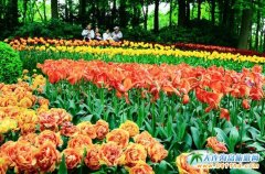 ���m���������Ƭ��Ƭ���_������