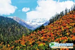 ��֥���ήa�I�~�����_�A