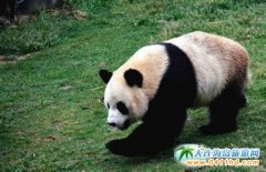 �����Bɭ�ք���@��һ�� �e���LȤ