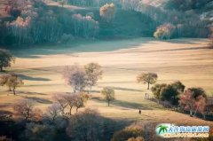 ��������ɫ���Дz���ɲ�ԭ�����MԊ����ͮ�����