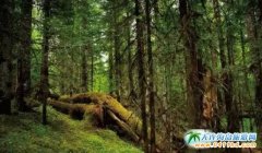 �����B���L(zh��ng)��ɽ���Ρ���Щ�����L(zh��ng)�������^(gu��)�ľ��`