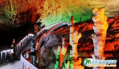 �����B�����ҽ����Ρ�ˇ�g(sh��)�W�\(y��n)��(hu��)���������ҽ����� �S�����ɽ���