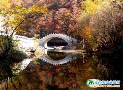 �P(gu��n)�Tɽ�Fُ�r ���B����һ���� ���{�΃�(y��u)�݃r