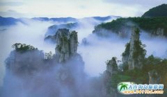 �����B�����ҽ����Ρ��������ξֶ��鏈�ҽ�