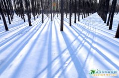 2016���ﶬ�����ڱ����ӑc���_��Ļ