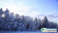 ǧ��eѩ�f���� ͯԒ�ؚw�L��ɽ