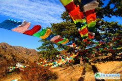 ���_ԭ����ֹֻ�а�ɫһ�N�������N�������x��ʲô�أ�