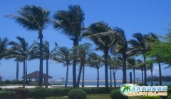 �������ĺ��������ƽ���ڏV�ݳɹ��e�k