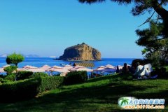 ���D���B�Ѓȵ����ι���|���B�Ѓȼ���oُ��o���M