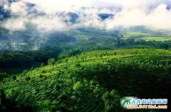 ��ʮ����Ї��ն��蹝17���������ն����_Ļ