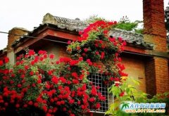 ���̫ꖜϣ��p��ѻ����Nޱ��ح���һ����