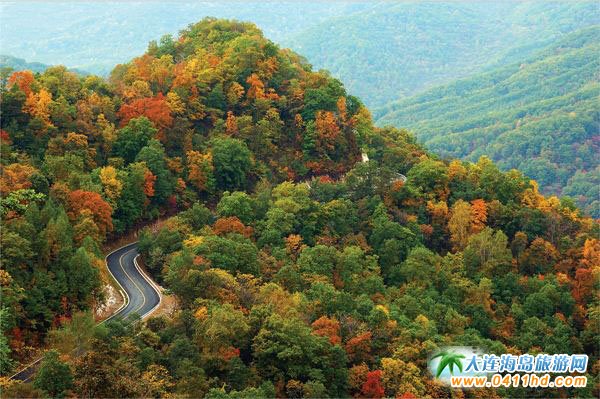 �f�����Tɽ����ɭ�ֹ��@